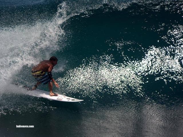 Surfing 2016 — photo 207