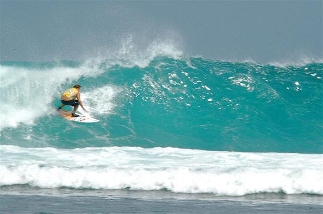 Surfing 2016 — photo 222