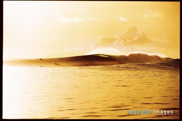 Frieden Favorites, photo 14