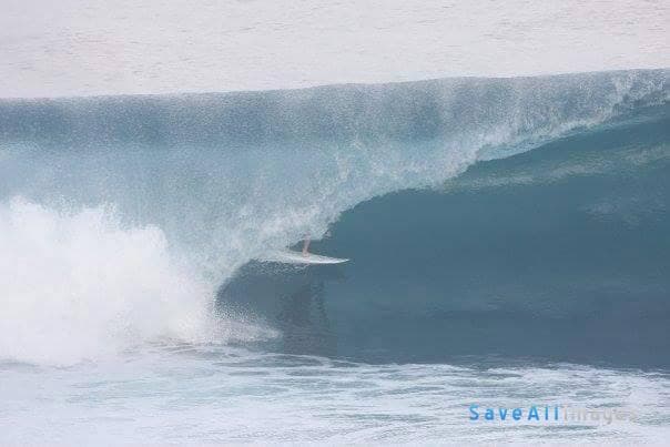 Surfing 2016 — photo 59