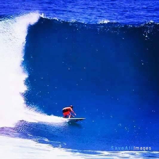 Surfing 2016 — photo 46