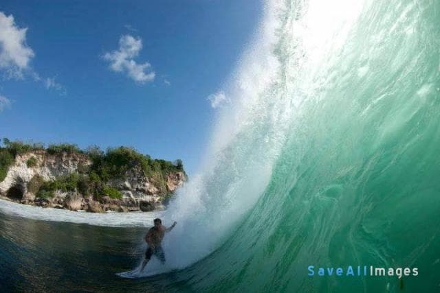 Surfing 2016 — photo 33