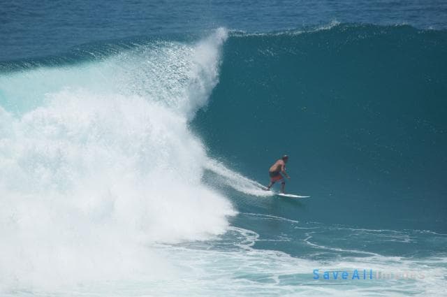 Surfing 2016 — photo 112