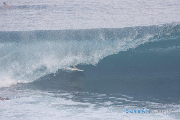 Surfing 2016 — photo 74