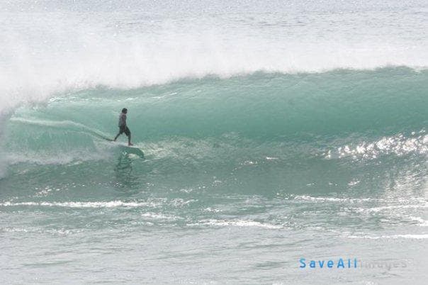 Surfing 2016 — photo 155