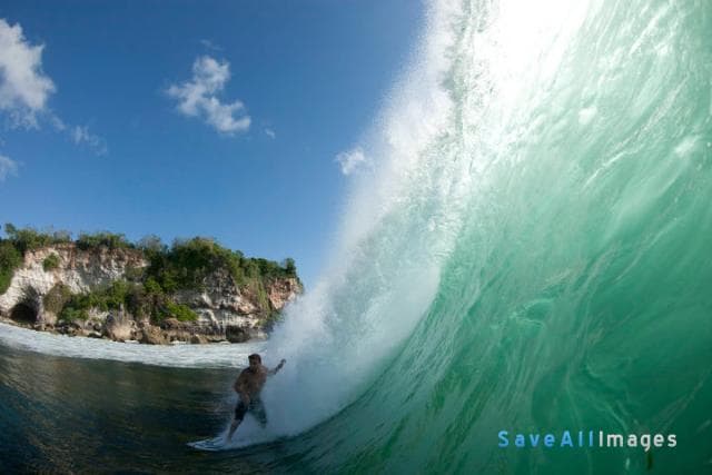 Surfing 2014 — photo 16