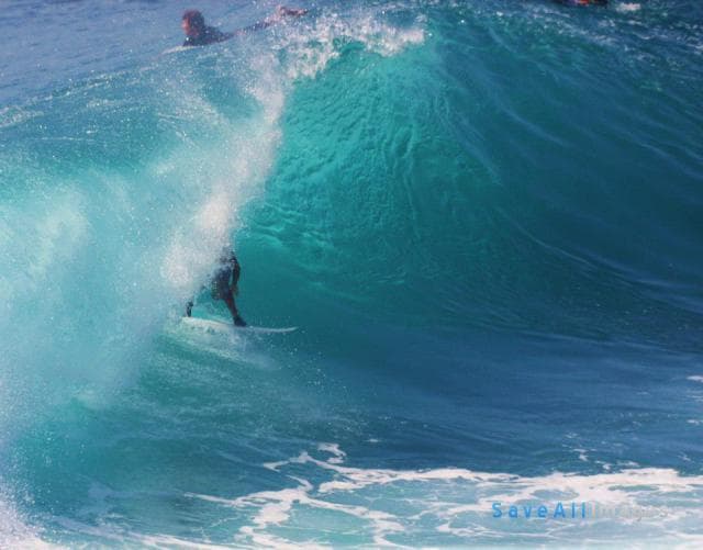 Surfing 2016 — photo 125