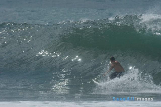 Surfing 2016 — photo 146
