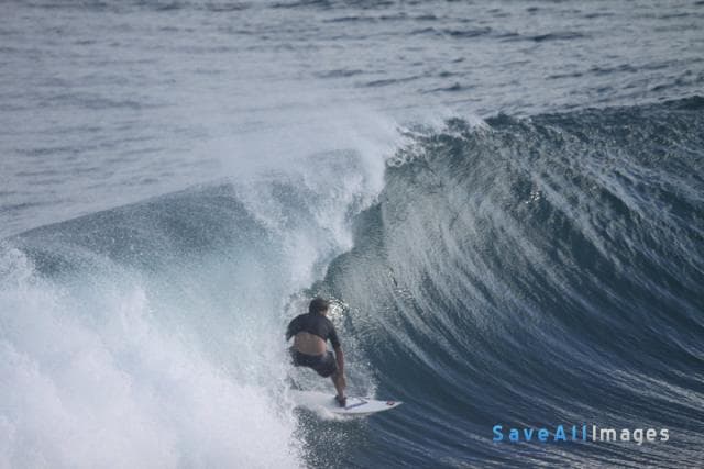 Surfing 2016 — photo 143
