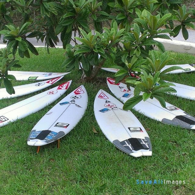 Lifestyle — photo 6