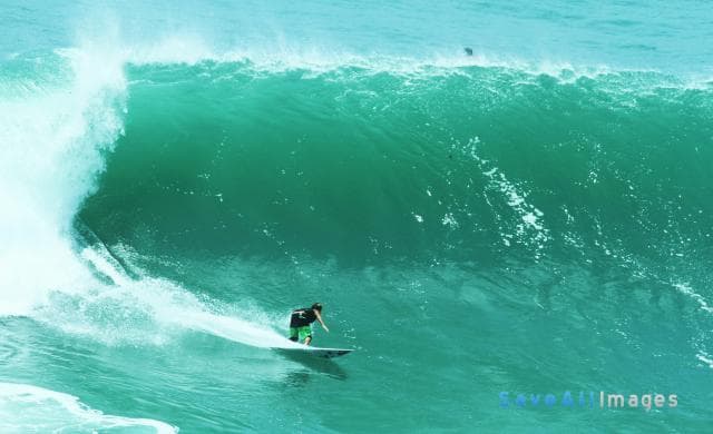 Surfing 2016 — photo 119