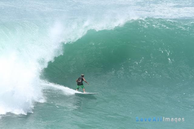 Surfing 2015 — photo 50