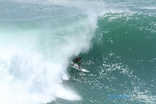 Surfing 2015 — photo 38