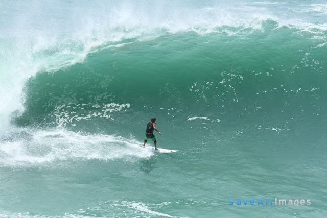 Surfing 2015 — photo 29