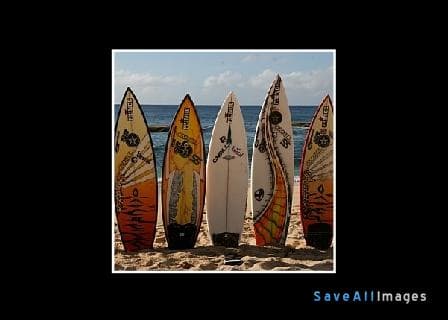 Lifestyle — photo 1
