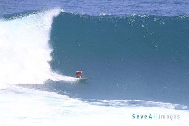 Surfing 2015 — photo 74