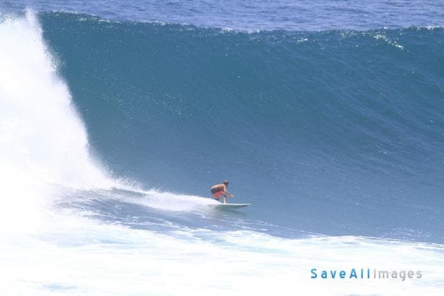 Surfing 2015 — photo 72