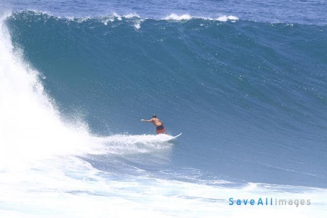 Surfing 2015 — photo 71