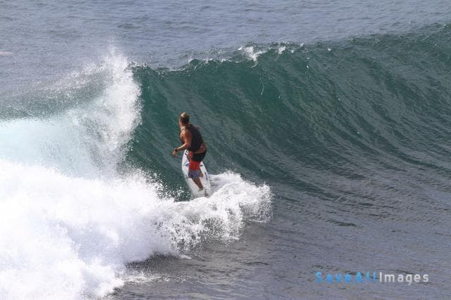 Surfing 2015 — photo 65