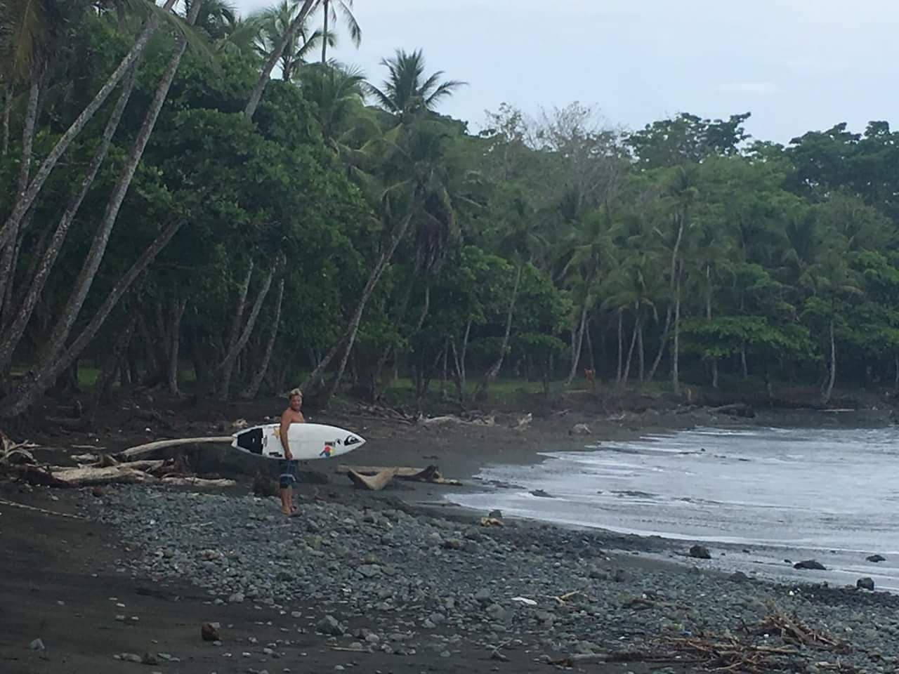 Surfing 2017-2018 — photo 57