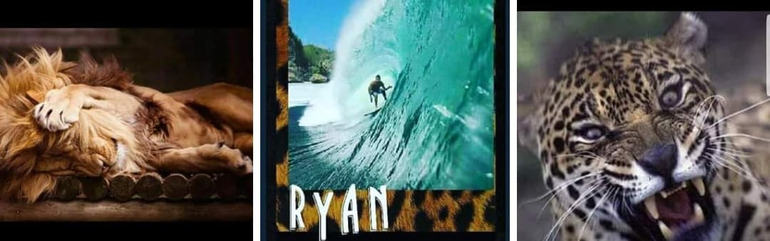 Surfing 2017-2018 — photo 82